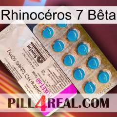 Rhinocéros 7 Bêta new07